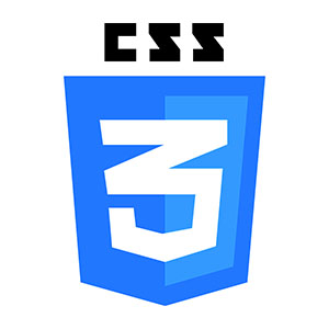 css3